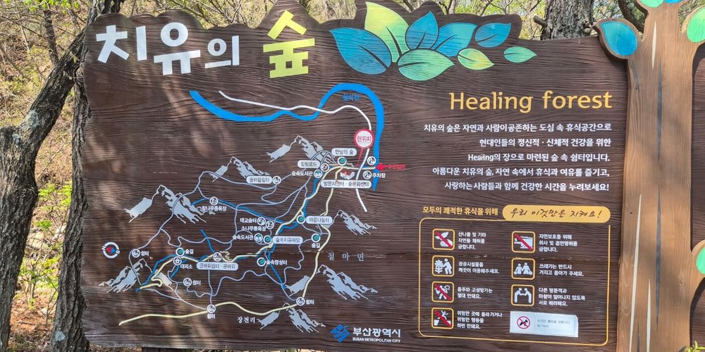 busan galmaetgil 9.1 healing forest