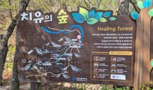 busan galmaetgil 9.1 healing forest