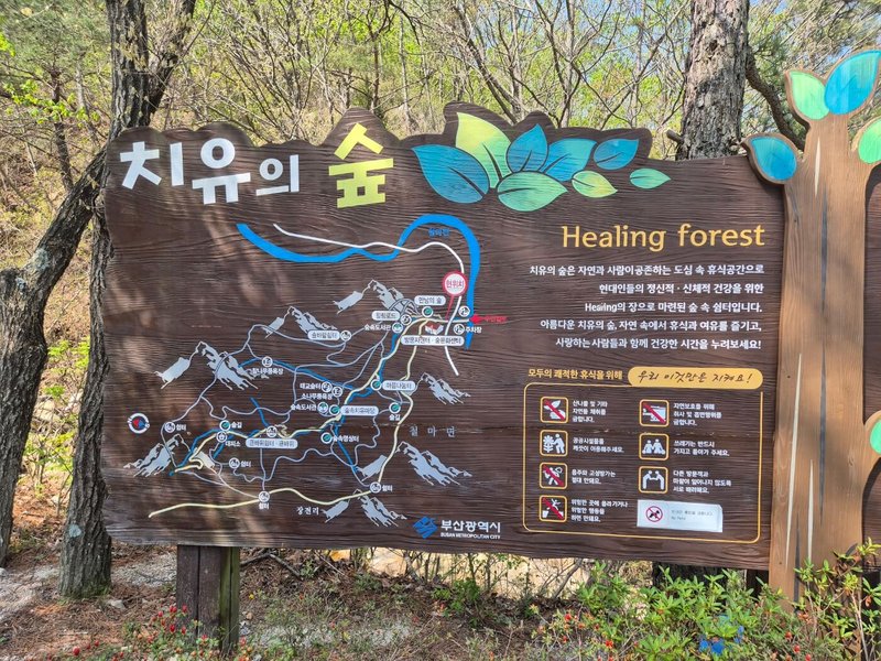 busan galmaetgil 9.1 healing forest